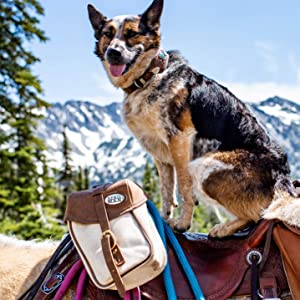 Saddlebag horse horses trail max trailmax ride rider saddle bags pack packing equine tack equestrian