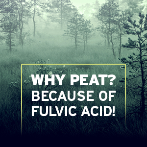 fulvic acid for hair growth to detox and nourish the hair roots and follicles