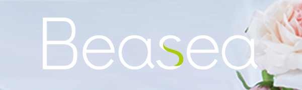 beasea logo